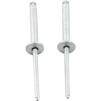 Allstar 1/8" Rivets Set of 100